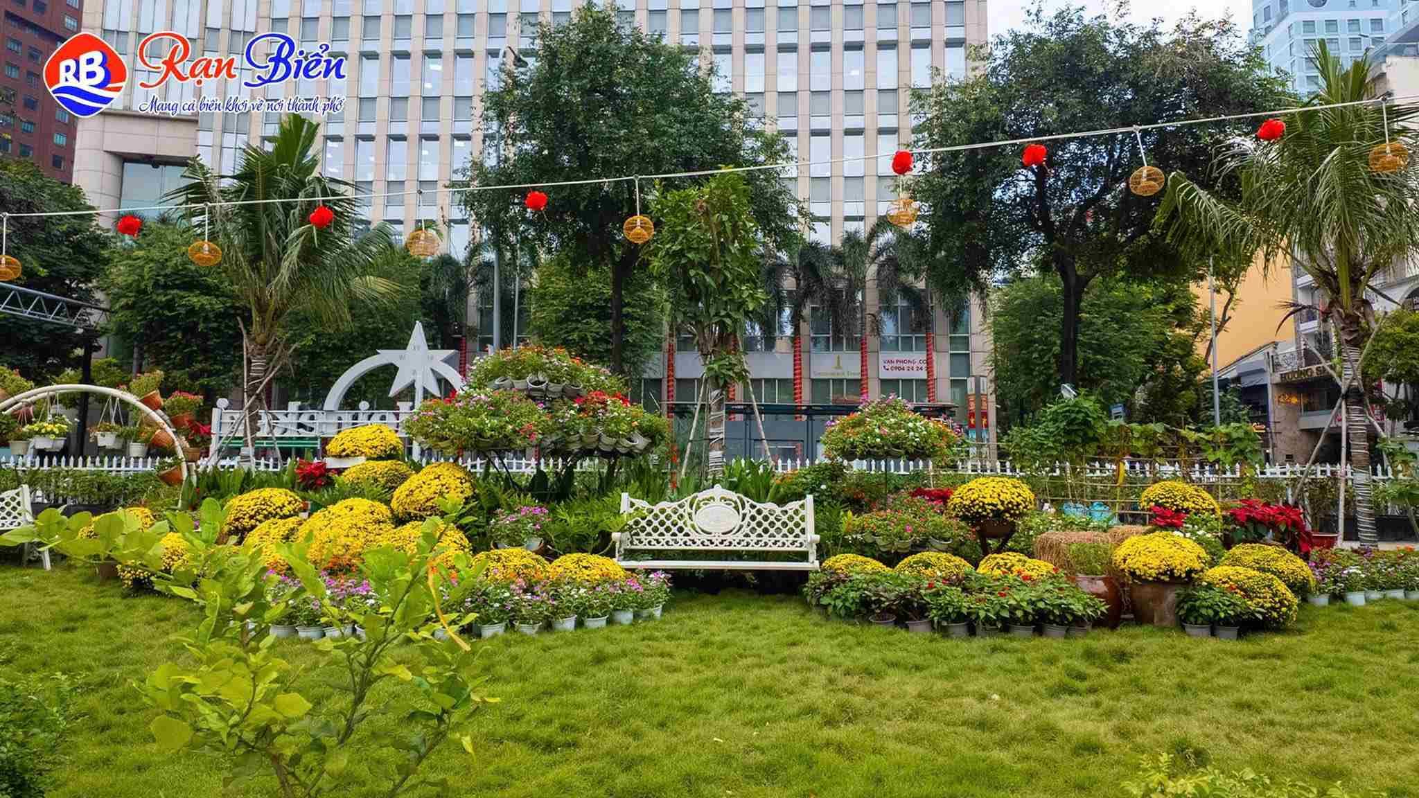 Vườn Cỏ Xuân Tại Rạn Biển Trung Tâm